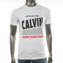 scale up printed logo